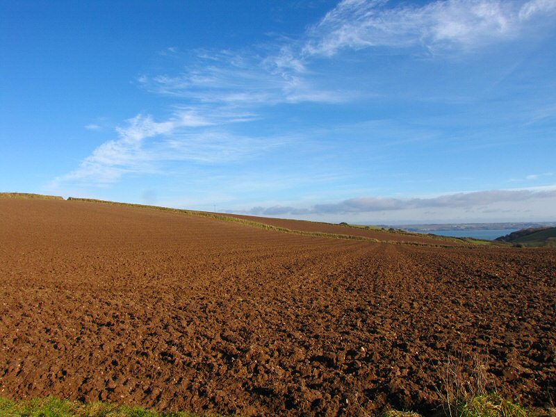 Fields near Polhawn and Wiggle Farm