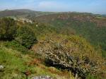 Bench Tor, Dartmoor