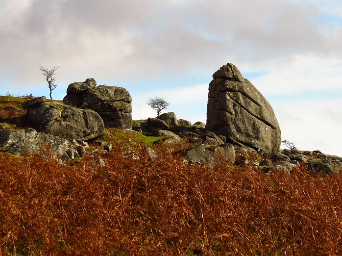 Cuckoo Rock, Dartmoor
