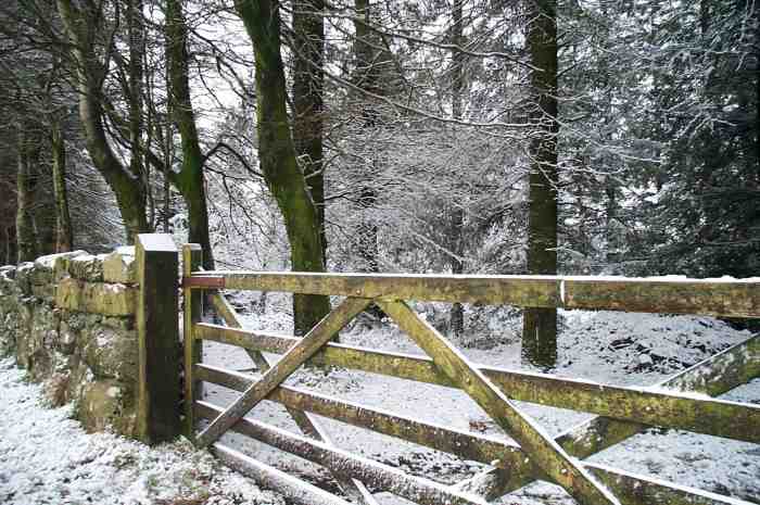 Dartmoor Snow