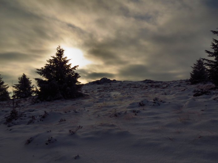 Snow, Jan 2013, Bellever Forest