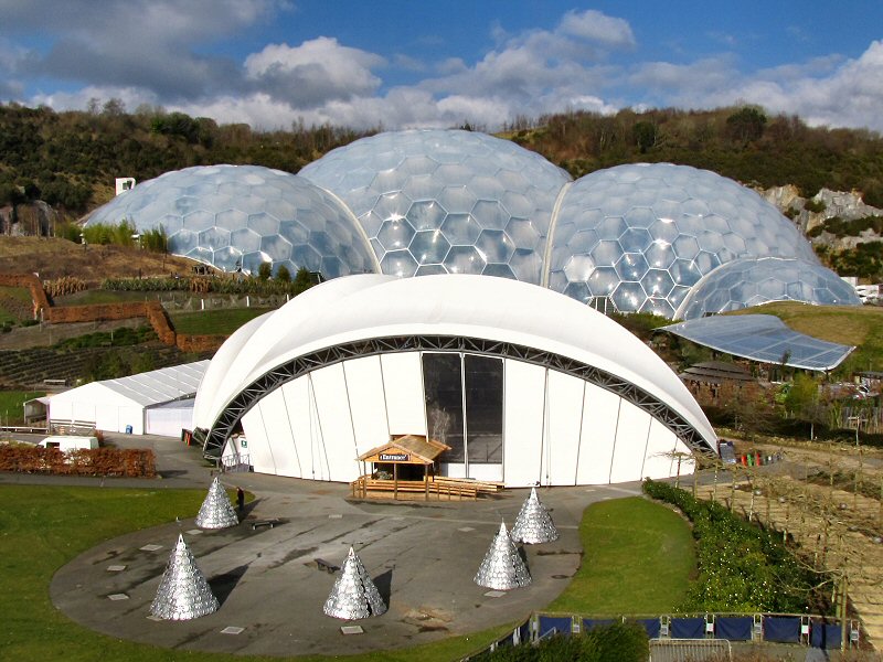The Rainforest Biome and
        Ice Rink