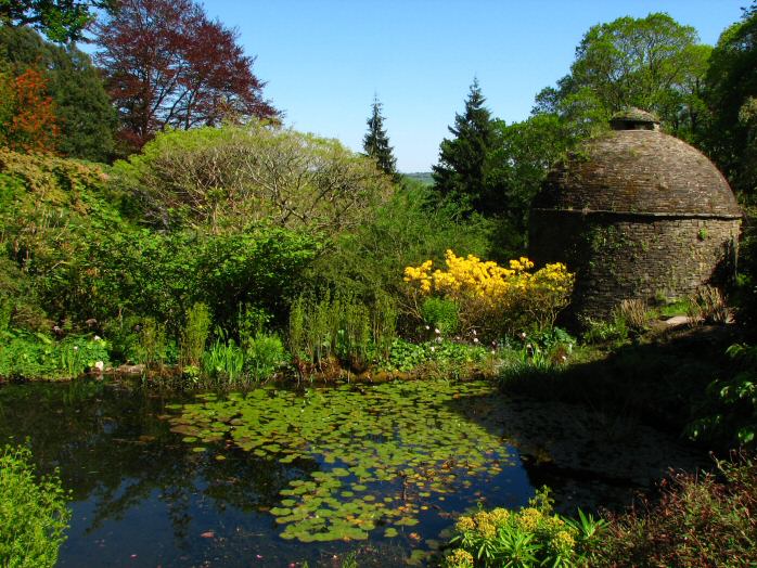 Fish Pond - Cotehele Gardens
